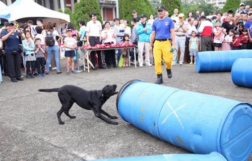 臺北市消防局秘密武器 帥氣搜救犬萌翻全場